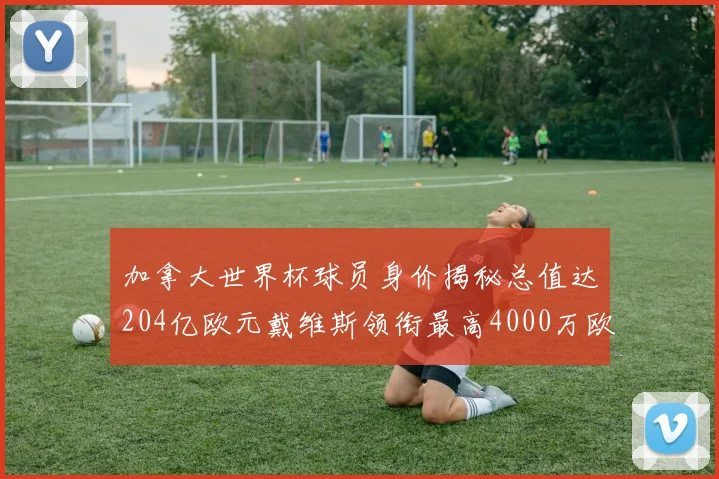 加拿大世界杯球员身价揭秘总值达204亿欧元戴维斯领衔最高4000万欧