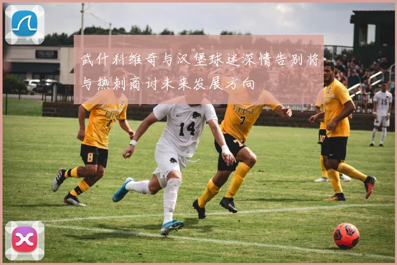 武什科维奇与汉堡球迷深情告别将与热刺商讨未来发展方向